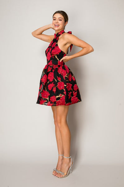 Red Rose Mini Dress