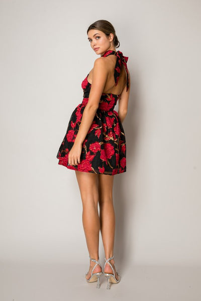 Red Rose Mini Dress